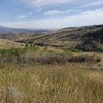 On Swigely Road out of Livingston