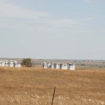 Bee Hives were common in ND