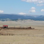 Montana landscape