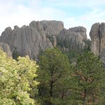 Along Needles Highway