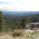 View on Needles Highway.