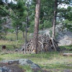 They gather downed wood into piles to help keep fires from spreading