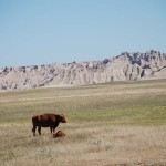 South Dakota Badlands