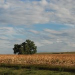 South Dakota landscape