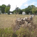 Corner fence posts of rock in northern Benton Cty, MN