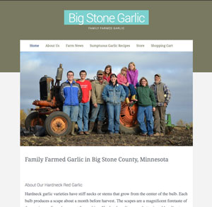 Screenshot of bigstonegarlic.com home page